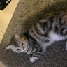 Фото профиля Kelo
