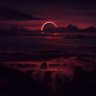 Zz3n 的头像