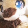 Profilbild von 玄颐