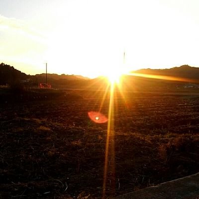 Sirius R's profile picture