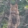 タマ's profile picture