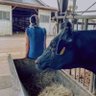 西岡牧場 profil fotoğrafı