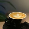Shdooa 👩🔬🕊️ profil fotoğrafı