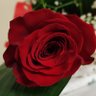 Profilbild von Stellina 72