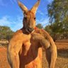 pedro profil fotoğrafı