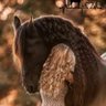 رغد2424 profil fotoğrafı
