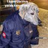 Profilbild von kaniel outiss