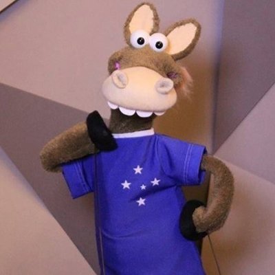 Cavalinho do Cruzeiro's profile picture