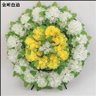无语西门 的头像