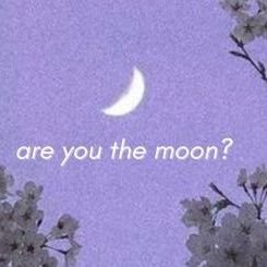Fatemeh_entp's profile picture