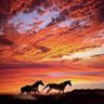 God is the absolute truth.'s profile picture