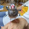 Фото профиля もりもと