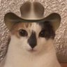 Vini's profile picture