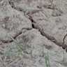 Фото профиля اثق بربي والله غالب