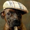 Just Karl profil fotoğrafı