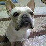 Lanxi's profile picture