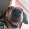 Profilbild von luiji.t