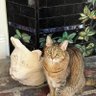 Jilly Bean profil fotoğrafı