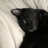 sue profil fotoğrafı