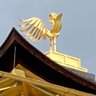 GMB.com profil fotoğrafı