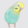 Profilbild von はなたん☆珀慧(hakkei)