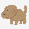 Oretti's profile picture
