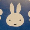 まる profil fotoğrafı