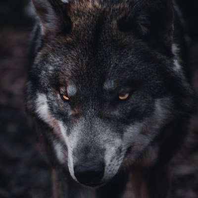 kay66861848's profile picture