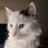 Profilbild von Erwin