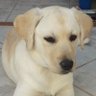 Profilbild von Lella