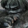 Profilbild von 板垣裕