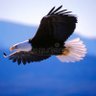 Фото профиля Nitroh Boys