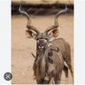 Morolong's profile picture