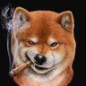 friend+$HIB® 🦊 profil fotoğrafı