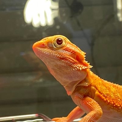 AK9_3104's profile picture