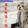 Profilbild von egemenbeyler