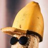 karigo's profile picture