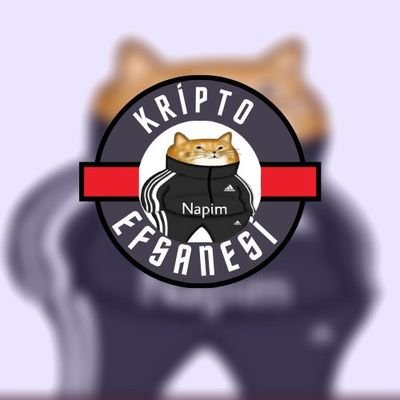 KriptoEfsanesi's profile picture