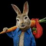 Marie Nam's profile picture