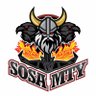 Gol D. Sosa's profile picture