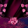 asya 🌟🌟🌟's profile picture