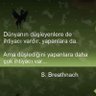 Фото профиля herkesi öpen kurbağa