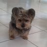 Profilbild von Georgie21