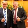 CoalitionCorruption's profile picture