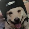 KJ's profile picture