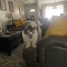 Profilbild von zeus2521