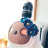 おまめちゃん@LOVOT profil fotoğrafı