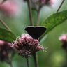 Фото профиля James Popelka