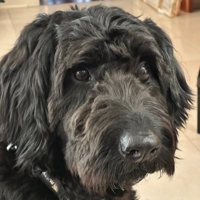 mov_axbx's profile picture