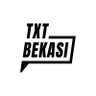 TxtdariBekasy 🇵🇸's profile picture